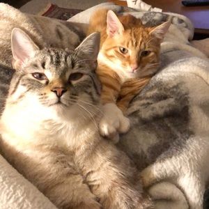 Meet your Posher, Kenni